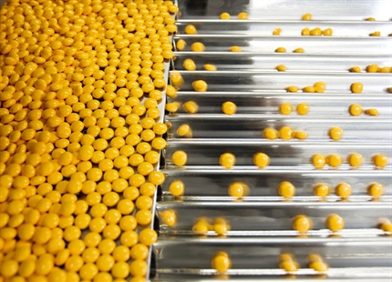 Controlo da humidade para a indústria farmacêutica