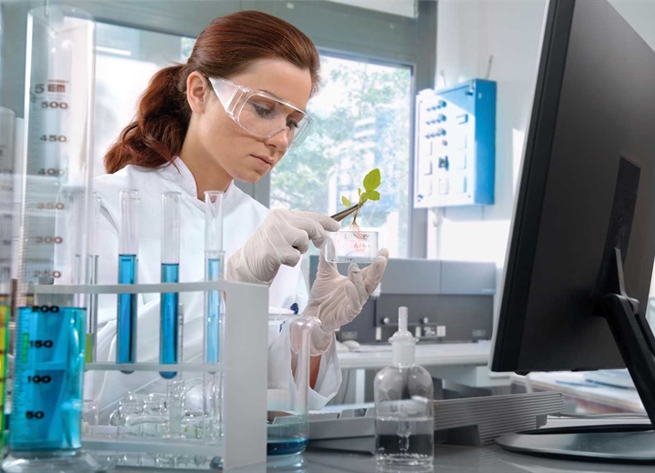 Industria farmacéutica